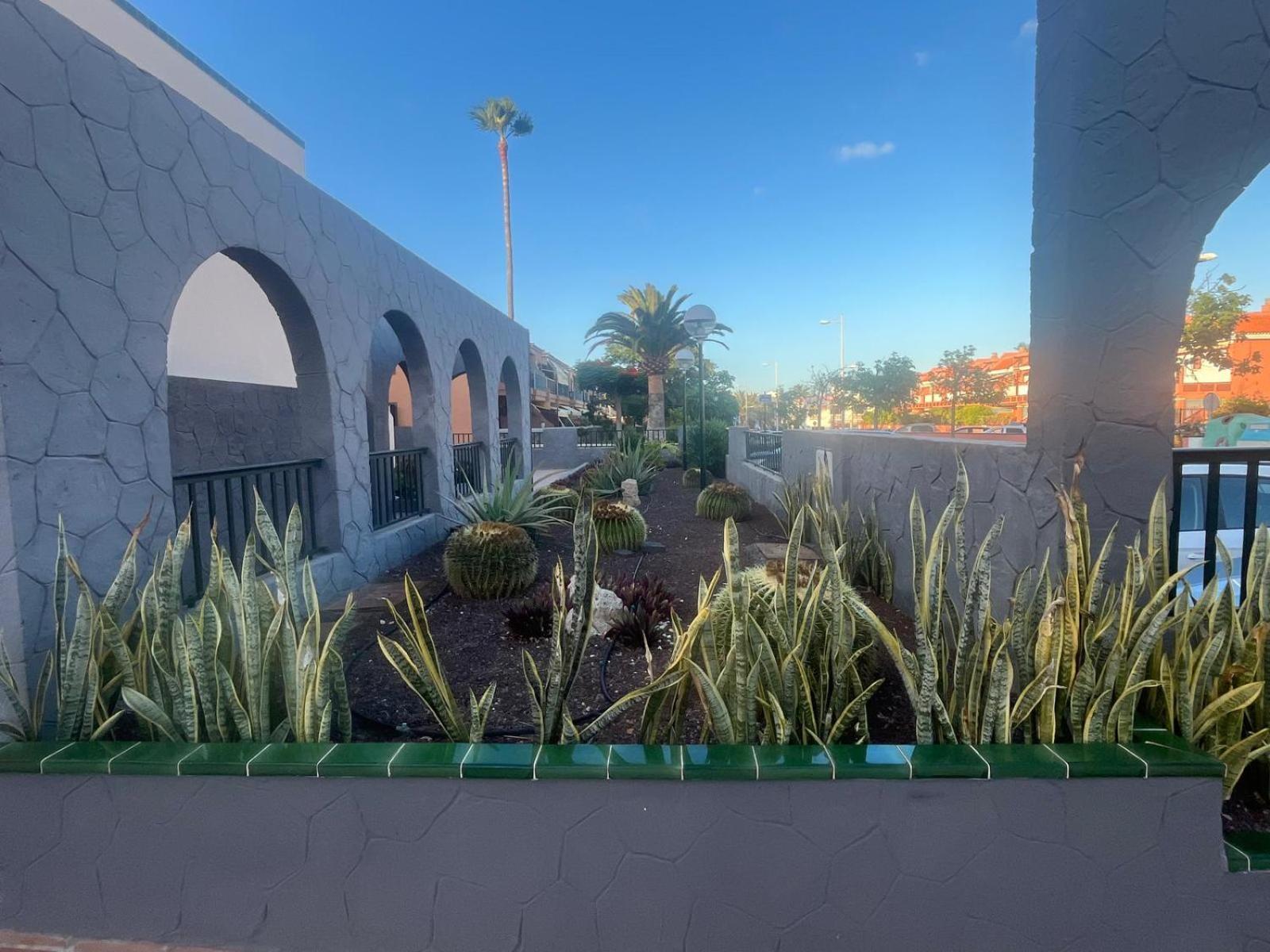 Casa Montana Amarilla 60 Apartment Costa Del Silencio Exterior photo